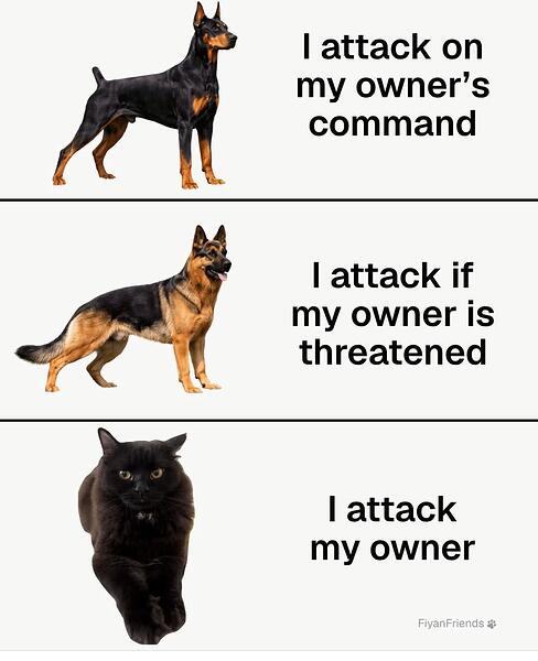 4748