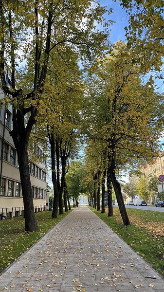 IMG_0340