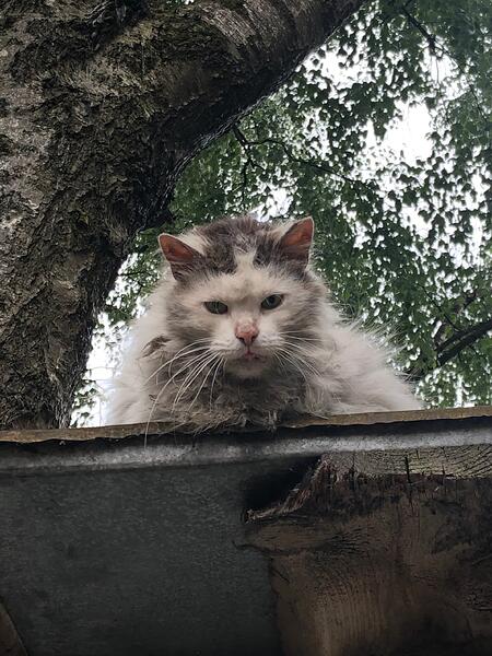 20210624_072856308_iOS