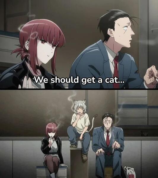 SCIENCE--Studies-shows-cats-and-their-owners-share-personality-traits-1783669733171