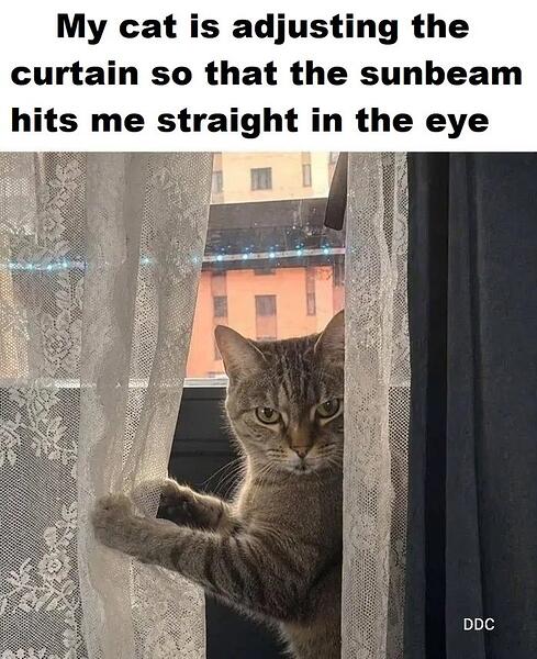 14277