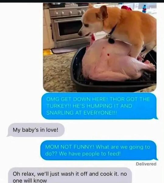 Thor-is-just-trying-to-help-with-dinner-preparations-1763114128300