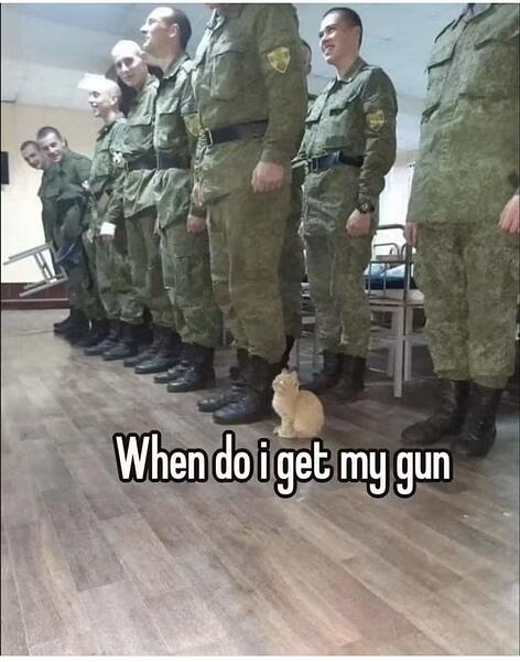 5096