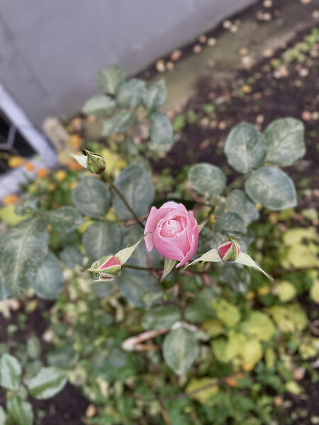 20251105_140135382_iOS