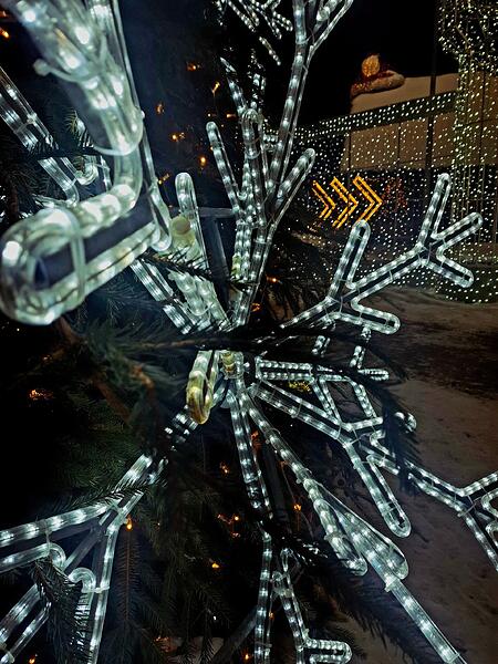 20260129_190658