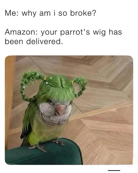 My-parrots-wig-is-more-important-than-my-rent-1768637464356