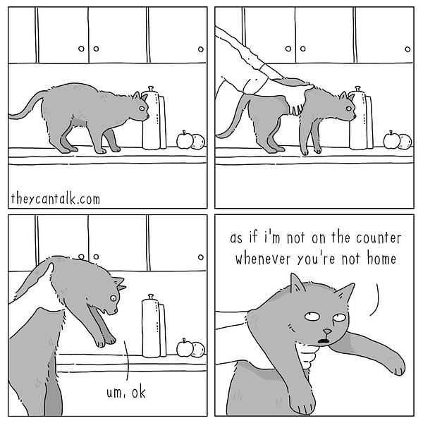 1000053368