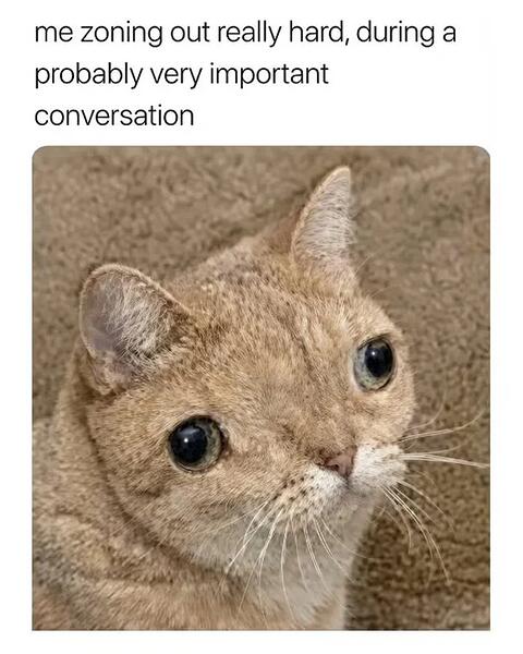 16078