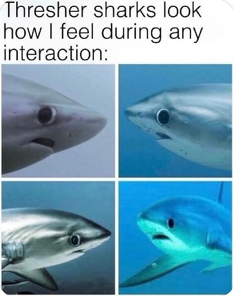 5050