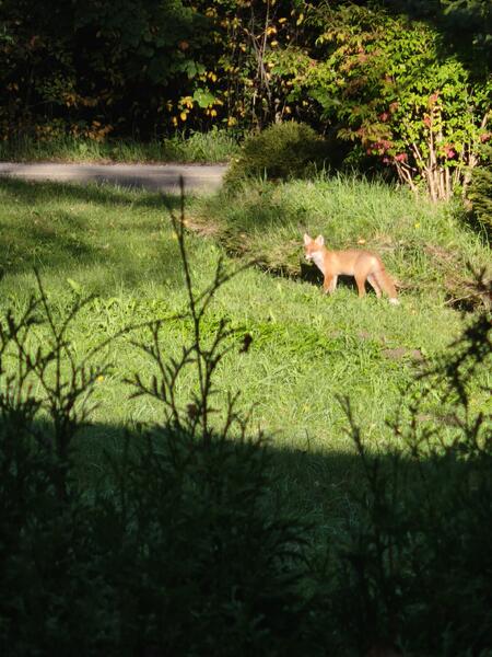 IMG_20260901_083202
