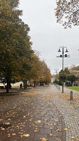 IMG_0857