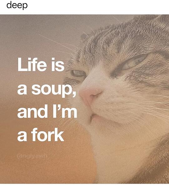 4164