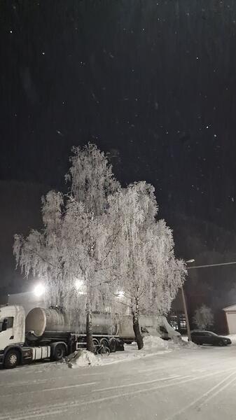 20260121_065936