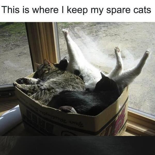 tumblr_f7bde0c15caeac4f3817a1152ab40999_cfa5987f_1280