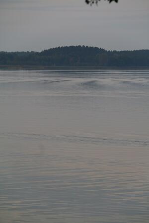 IMG_6985
