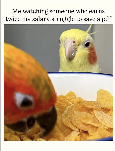 23298