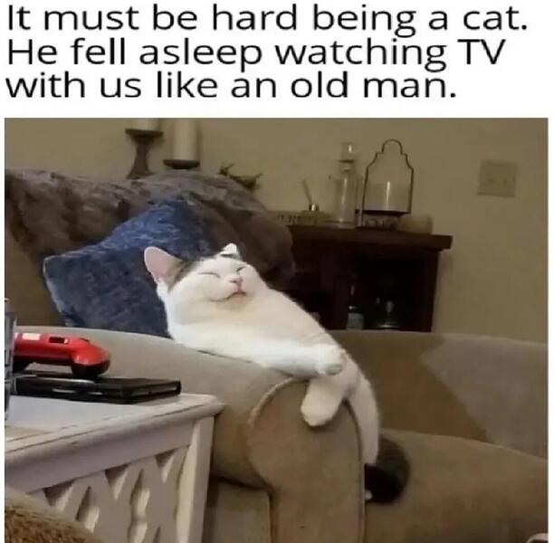 1000066307