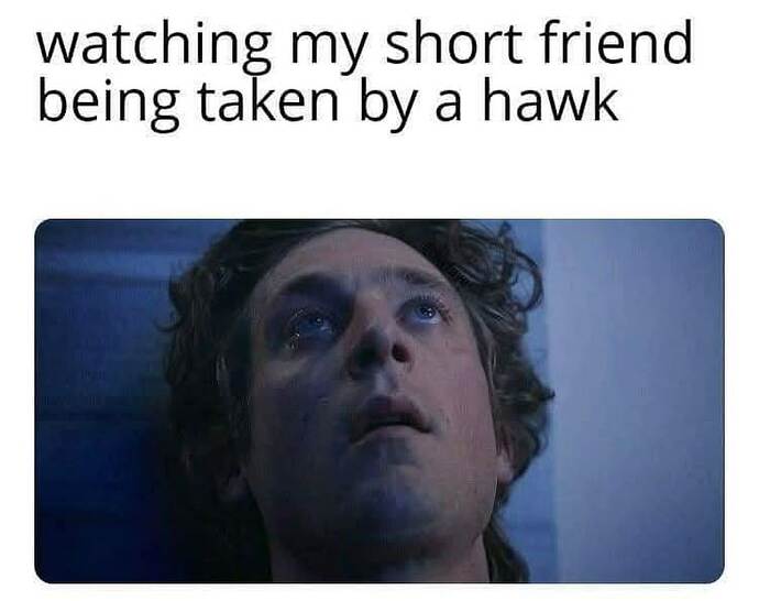 22699