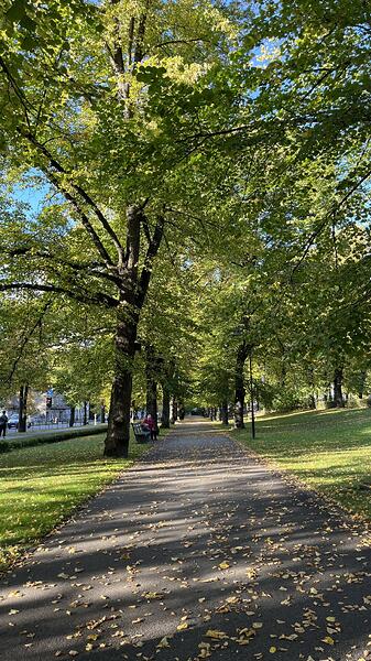 IMG_0360
