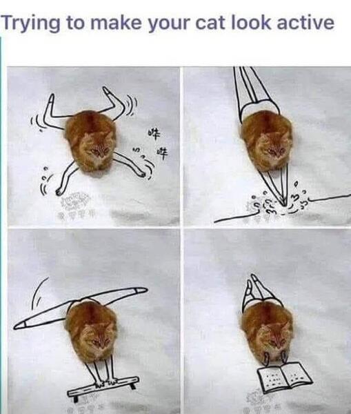 Screenshot_20260117_082523_Facebook