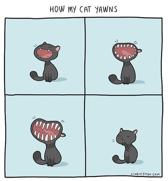 huhuhu