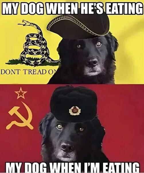 Food-politics-1762165233743