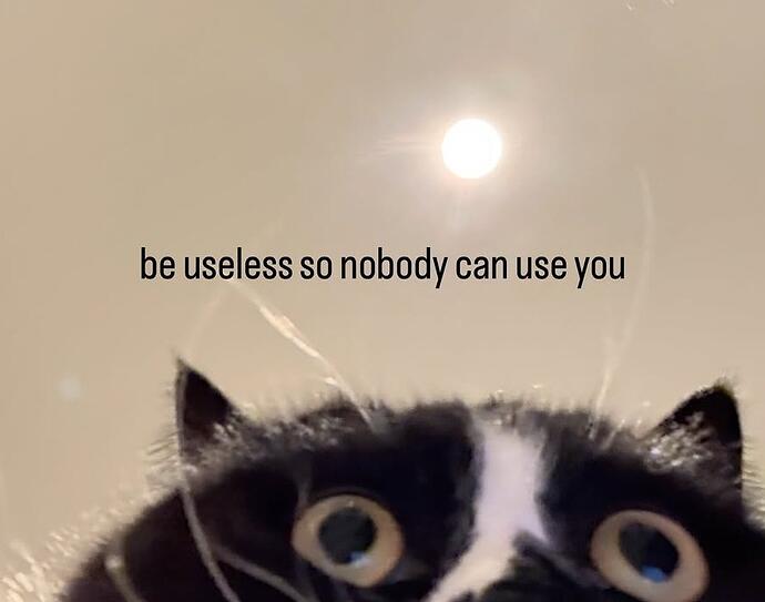 tumblr_4a3dc0fa72c6c5bb7e8ad3a39bbfd509_bfb8c1ba_1280