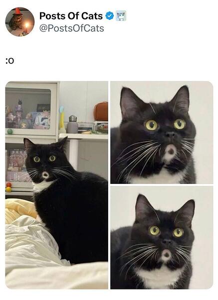 ooo