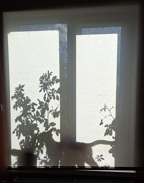 1000007011