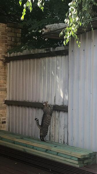 20210622_053147000_iOS