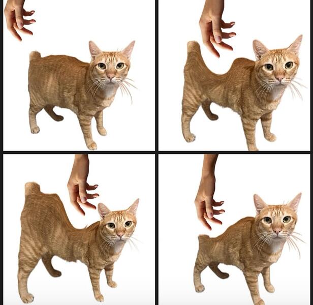 Screenshot_20260116_121833_Facebook