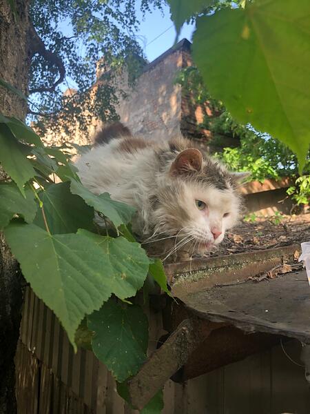 20210622_052311338_iOS