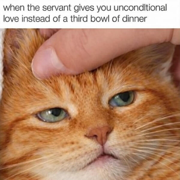 631552160_1471922404299201_7684354325265572335_n