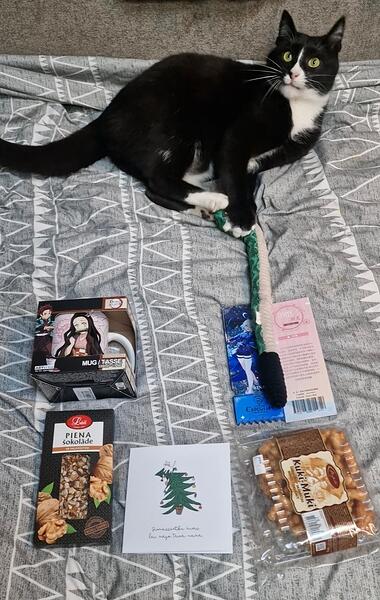 Screenshot_20251224_132922_Photos