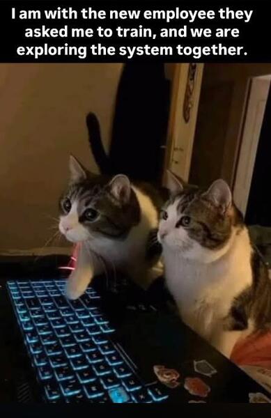 4431
