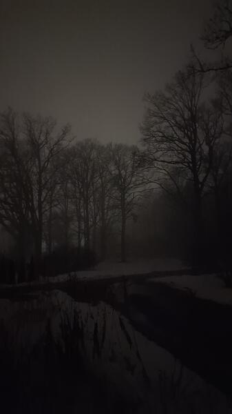 20260228_194333