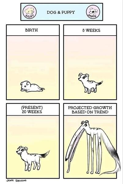 Life-is-not-only-about-growth-Has-any-company-learned-to-shrink-with-dignity-Credits-Jessie-Robinson-1770026091050
