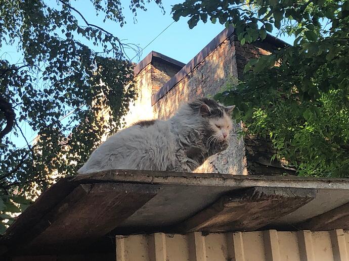 20210619_070203220_iOS