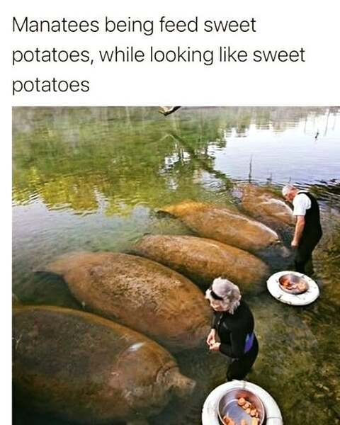 592688868_870429988680362_259851116349011571_n