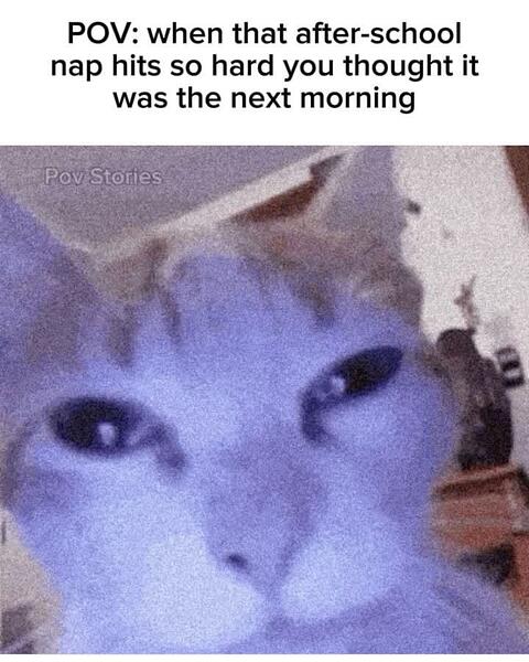 4016