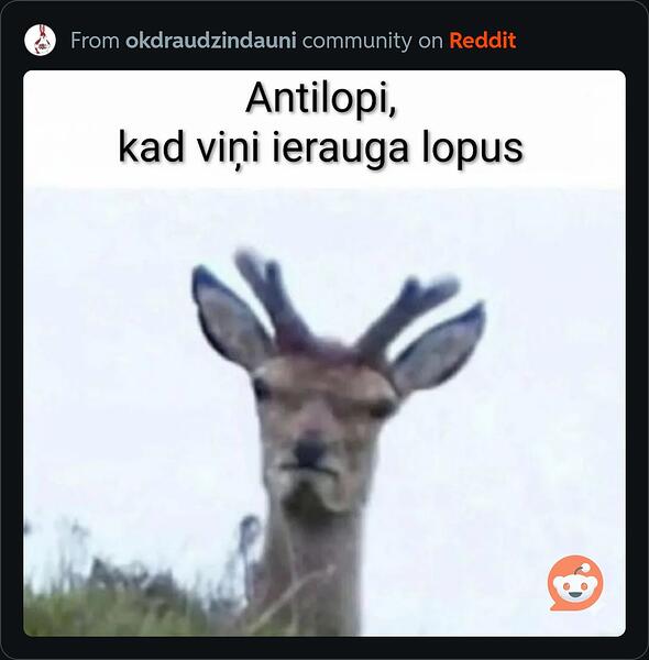 RDT_20251115_2131588754473482860820894