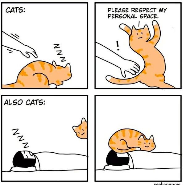 3749