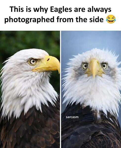 Screenshot_20260118_124930_Facebook