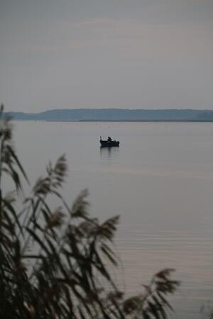 IMG_6986