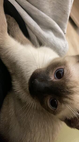 2024-01-24_1D44BD0E-0D8E-48B8-B96D-B9D9E5492611-main