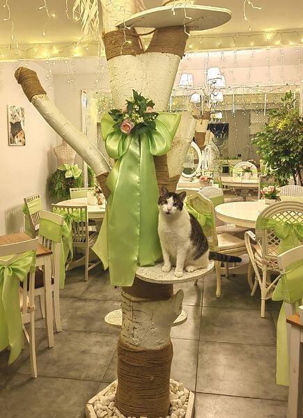 645954876_1487227226745994_4189226700423911937_n