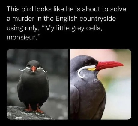 1772960733984999475634379779415